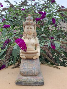 Dewi met schaal collor