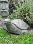 Schildpad Groensteen
