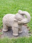 Olifant M
