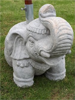 Parasolvoet olifant