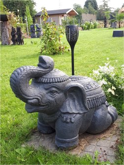 Geluks olifant