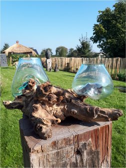 Glas op hout vaas dubbel B