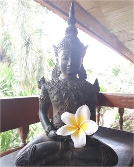 Bronzen beeld Boeddha