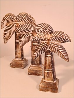 Palmbomen set