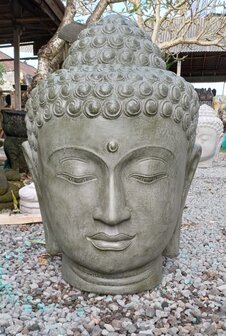 Boeddha hoofd XL grijsgroen