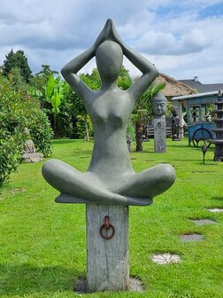 Yoga beeld