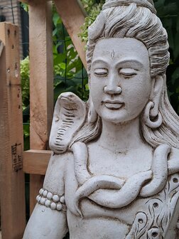 Shiva white