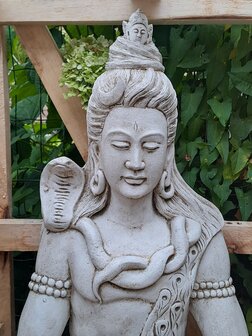 Shiva white
