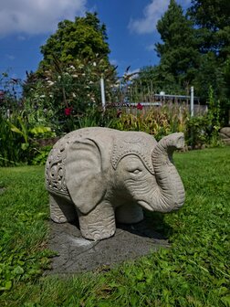 Olifant L