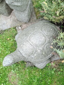 Schildpad Groensteen