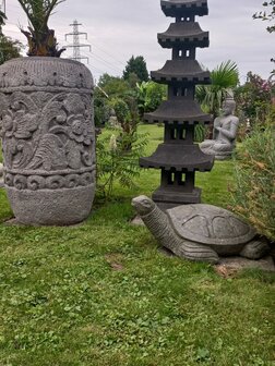 Schildpad Groensteen