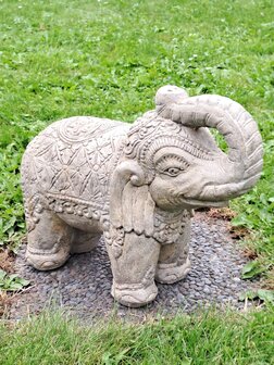 Olifant M