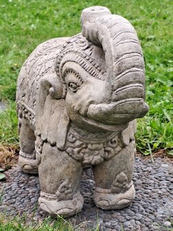 Olifant M