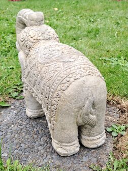 Olifant M