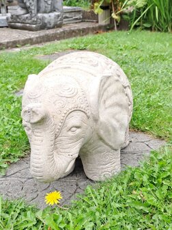 Olifant L