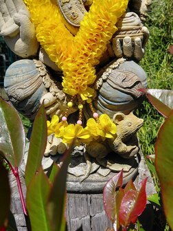 Garland geel