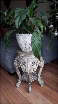 Planten/bijzettafel Denpassar
