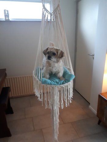 Hangmand macrame