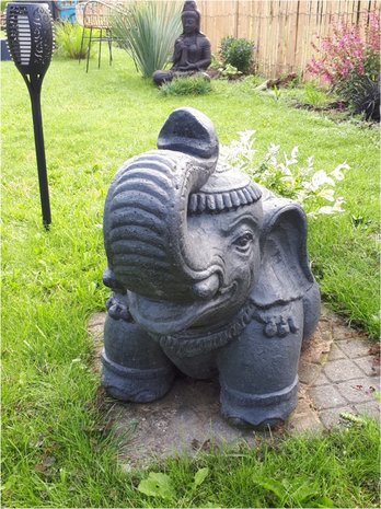 Geluks olifant