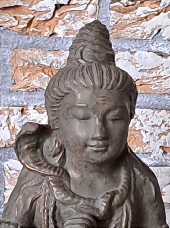 Borstbeeld Shiva