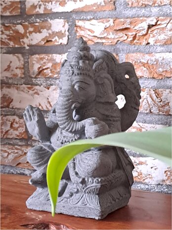 Ganesha small grey