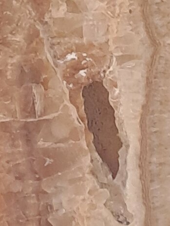 Onyx lamp