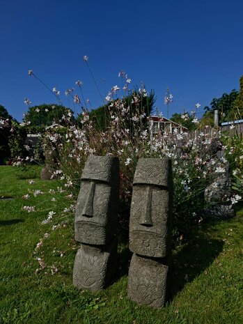 Paaseiland beeld uitgewerkt