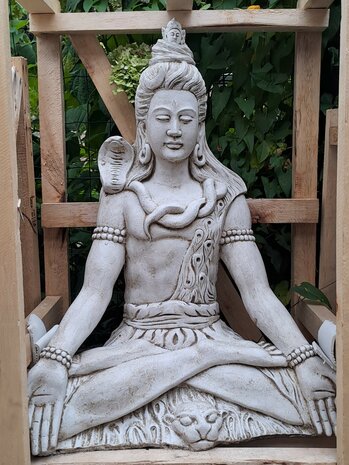 Shiva white