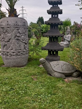 Schildpad Groensteen