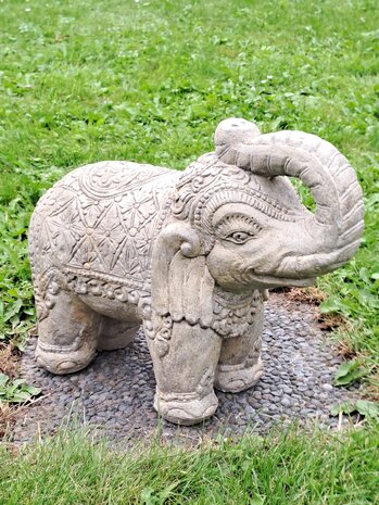 Olifant M