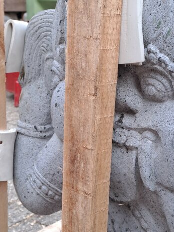 Ganesha 60 cm Lavasteen schild