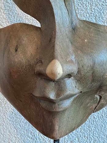 Decoratief masker C