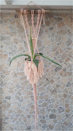 Plantenhanger boho zalm rose Plantenhanger boho zalm rose