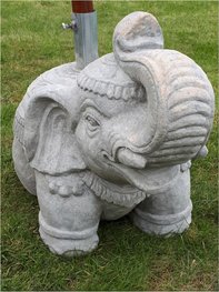 Parasolvoet olifant Parasolvoet olifant
