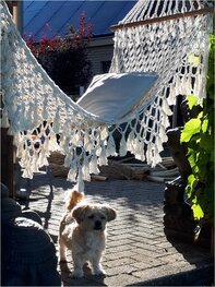 Kinder hangmat Kinder hangmat