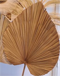 Deco palmblad XL Deco palmblad XL