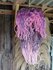 Boho lamp Ibiza pink_